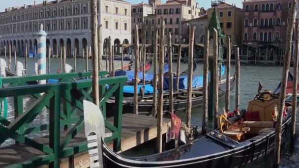 Campanile věž a Dóžecího paláce na náměstí svatého Marka v Benátkách — Stock video