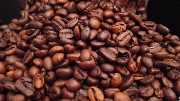 Kaffebönor nyrostade på nära håll — Stockvideo