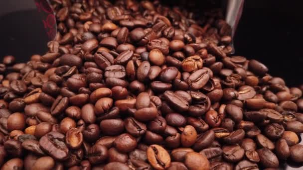 Grãos de café recém-torrados em close-up — Vídeo de Stock