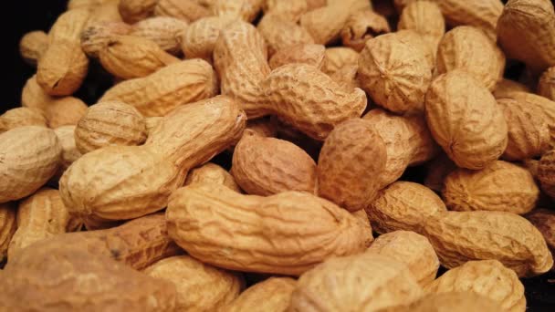 Gros plan sur les cacahuètes — Video