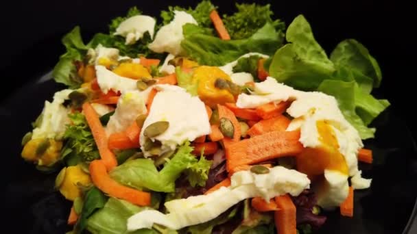 Salada fresca com mussarela, cenoura e manga — Vídeo de Stock