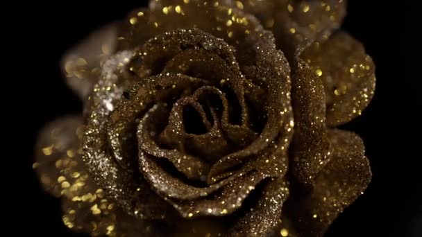 Primer Plano Una Hermosa Flor Rosa Dorada Sobre Fondo Negro — Vídeos de Stock