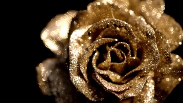 Zbliżenie Piękny Złoty Kwiat Róży Czarnym Tle — Wideo stockowe