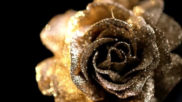 Gros Plan Une Belle Fleur Rose Dorée Sur Fond Noir — Video