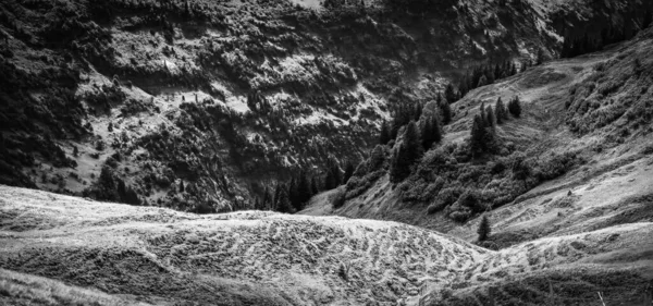 Amazing nature of Switzerland in the Swiss Alps in black and white