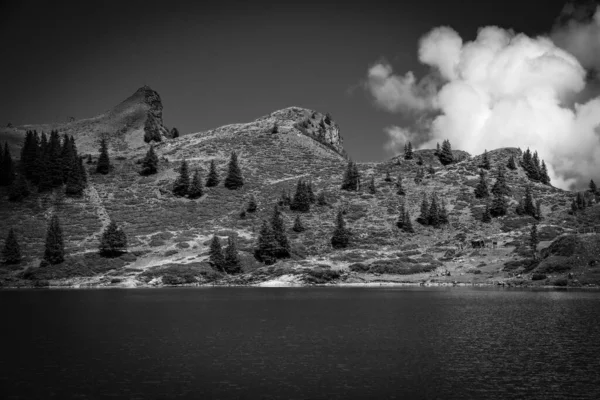 Lugar maravilhoso para férias nos Alpes Suíços em preto e branco — Fotografia de Stock