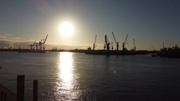 Dźwigi Hamburg Harbour w podświetleniu — Wideo stockowe