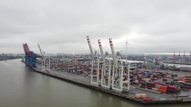 Hamburgs hamn ovanifrån en mulen dag — Stockvideo