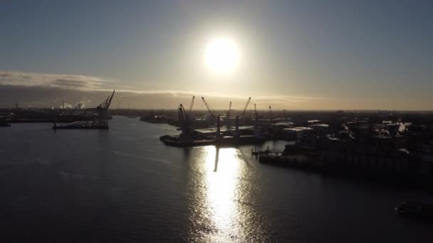Arka planda Hamburg Limanı 'nın vinçleri — Stok video