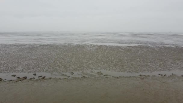 Erstaunliche Natur in Deutschland - das Wattenmeer an einem nebligen Tag — Stockvideo