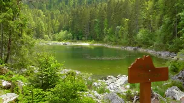 Озеро Фриллензе в Баварии - маленькое и красивое горное озеро в немецких Альпах - ГРЕЙНАУ, ГЕРМАНИЯ - 26 мая 2020 г. — стоковое видео