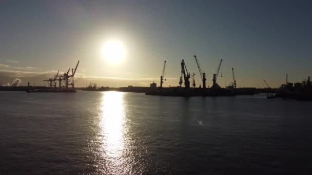 Os guindastes do porto de Hamburgo no backlight — Vídeo de Stock