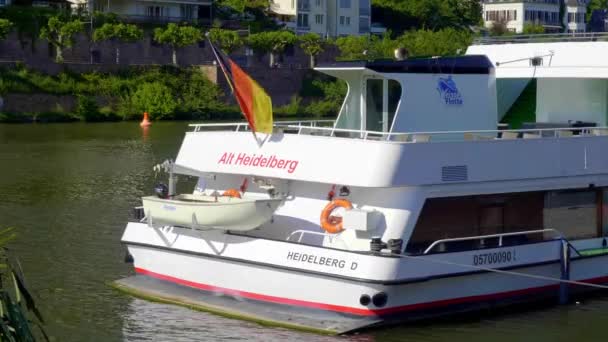 Sightseeing Boat on River Neckar in Heidelberg - HEIDELBERG, GERMANY - MAY 28, 2020 — Stock Video