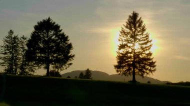 Bavyera ve Allgau 'daki tipik manzara - Alman Alpleri