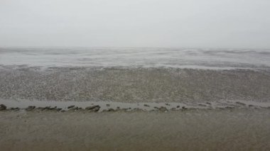 Almanya 'daki Wadden Denizi bir Unesco Miras Alanı' dır.