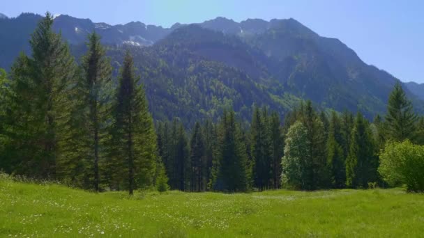 Typiskt landskap i Bayern och Allgau - de tyska Alperna — Stockvideo