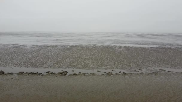 Das Wattenmeer in Deutschland ist Unesco-Weltnaturerbe — Stockvideo