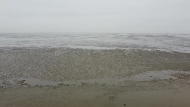 La mer des Wadden en Allemagne est un site du patrimoine mondial de l'Unesco — Video