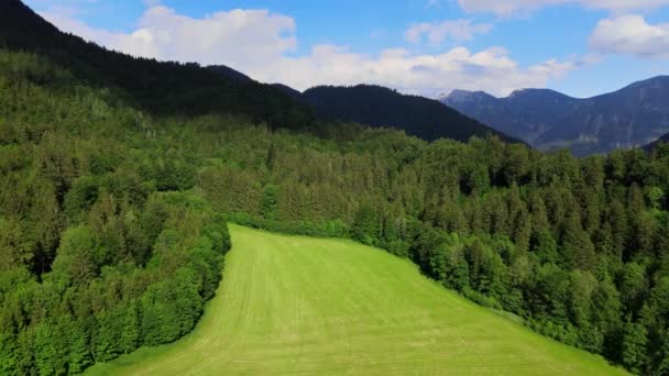 Repülés a gyönyörű vidéki táj Bajorország Allgau a német Alpokban — Stock videók