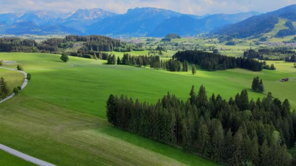 Úžasná zelená příroda Allgau v Bavorsku Německo — Stock video