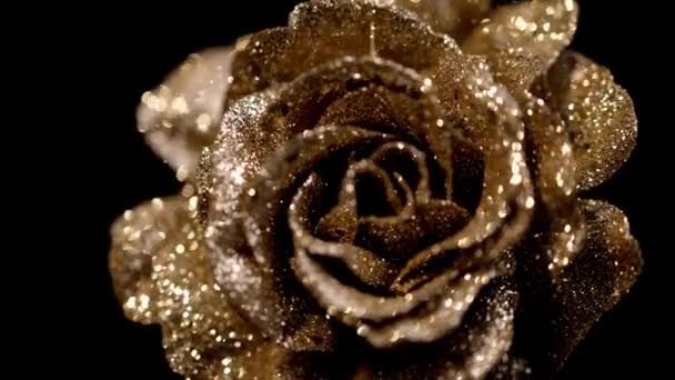 Χρυσάνθεμα τριαντάφυλλου με glitter - διακοσμητικό φόντο — Αρχείο Βίντεο
