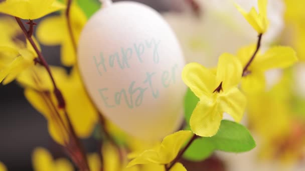 Piękna dekoracja Wielkanocna z pisanek na buch kwiatów — Wideo stockowe