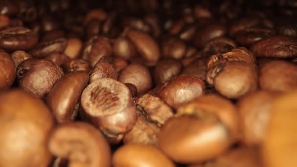 Flight over freshly roasted Coffee Beans - macro shot — Stock Video