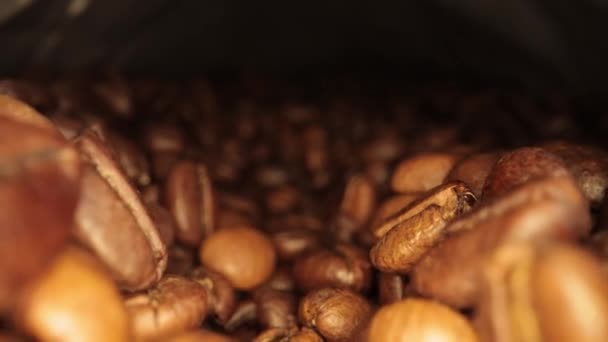 Freshly roasted Coffee Beans - macro shot — Stock Video