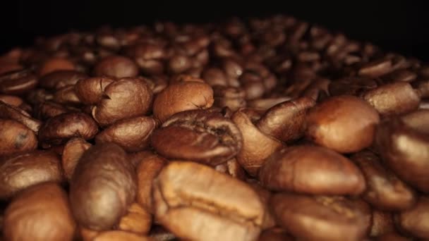 Feijões de café recém-torrados - macro shot — Vídeo de Stock