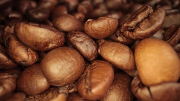 Čerstvě pražená kávová zrna - makro snímek — Stock video