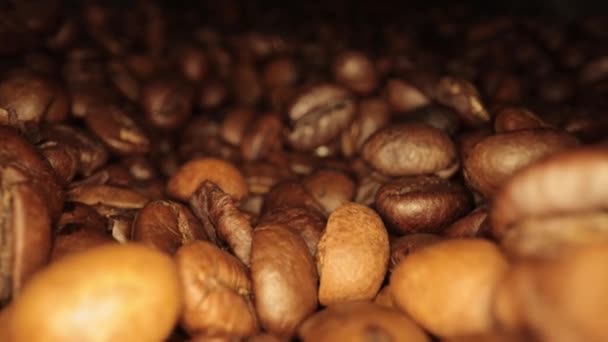 Frisch geröstete Kaffeebohnen - Makroaufnahme — Stockvideo