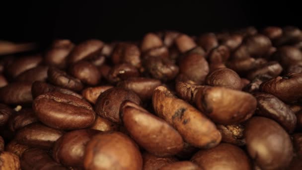 Chicchi di caffè appena tostati - macro shot — Video Stock