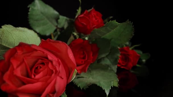 Close up view over a bunch of roses — Stock Video