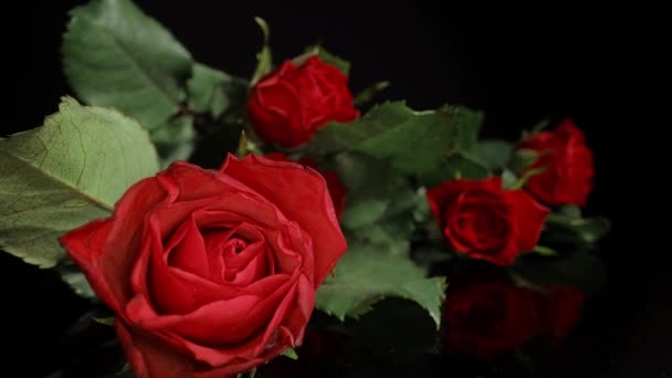 Widok z bliska na kilka róż — Wideo stockowe