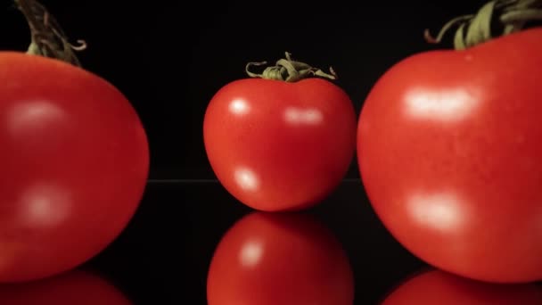 매크로 샷의 신선 한 토마토 — 비디오