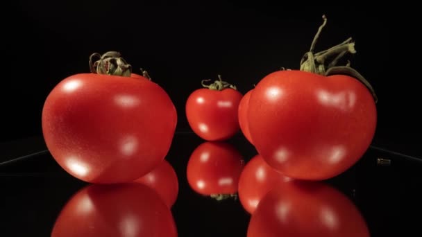 신선 한 토마토 위에 있는 아름다운 매크로 사진 — 비디오