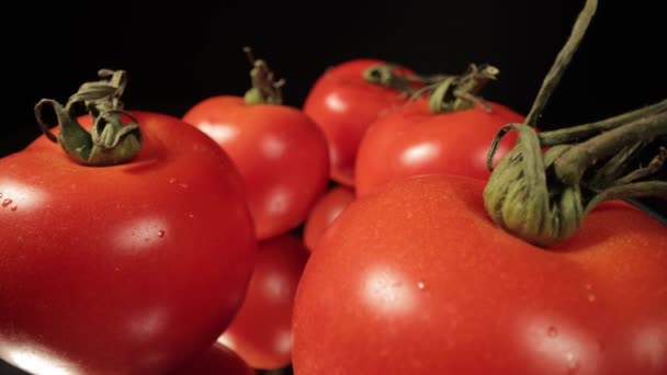 新鮮なトマトの美しいマクロビュー — ストック動画