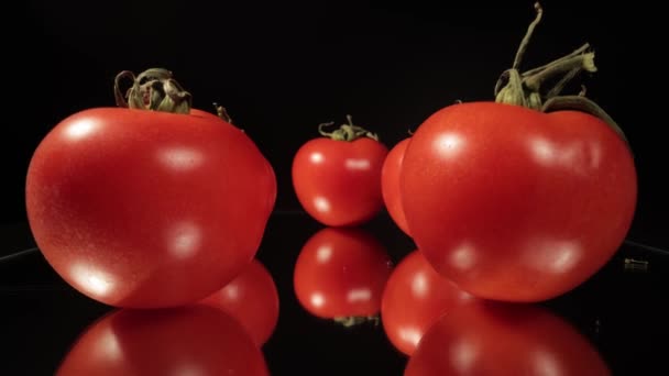 Čerstvá rajčata v detailním záběru makra — Stock video