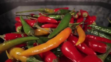 Macro yakın planda Rawit Chili biberlerinin üzerinden kayıyor.