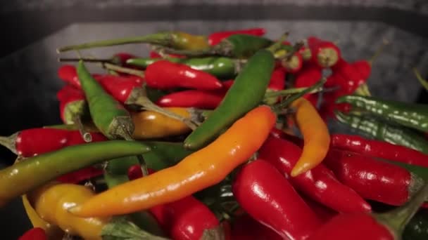 Makro posuvné záběr přes Rawit chilli papričky v close-up — Stock video