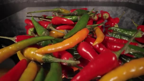 Makro posuvné záběr přes Rawit chilli papričky v close-up — Stock video