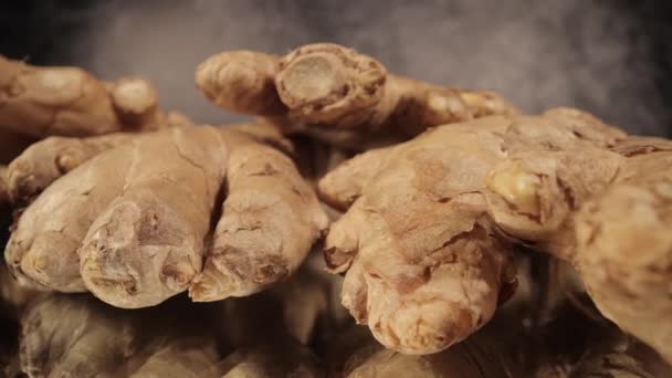 Ginger Roots - sliding macro shot — Stock Video