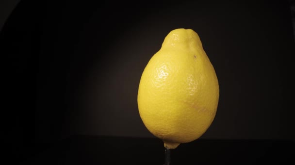 Siyah arkaplanda Lemon 'u yakın plan döndürme — Stok video