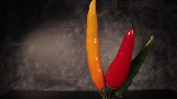 Zeer hete Rawit Chili pepers in close-up — Stockvideo