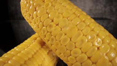 Yakın çekim mısır koçanları - makro görünüm