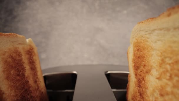 Kızarmış ekmek tost makinesinden fırlıyor. Yakın çekim. — Stok video