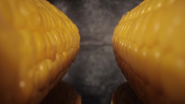 Kolby kukurydzy w ujęciu zbliżeniowym - widok makro — Wideo stockowe