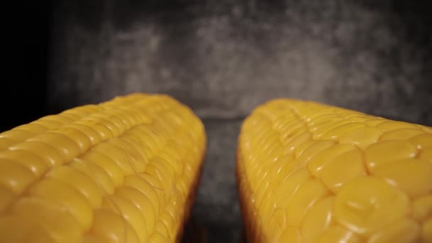 Kolby kukurydzy w ujęciu zbliżeniowym - widok makro — Wideo stockowe
