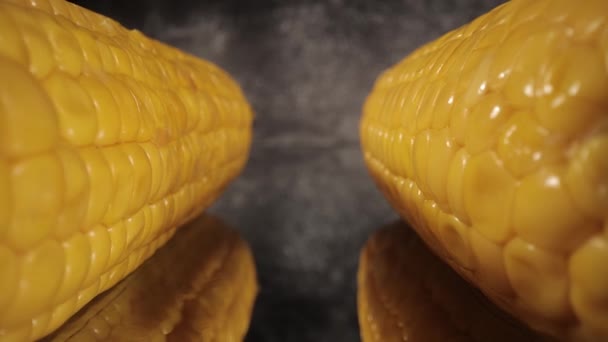 Corn cobs in close-up shot - macro view — Stock Video