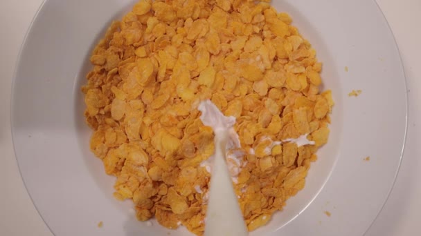 Despeje leite sobre um prato com flocos de milho em câmera lenta — Vídeo de Stock